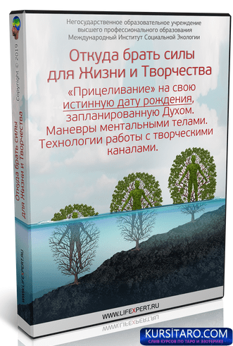 041ea0d16a9d-png.19132