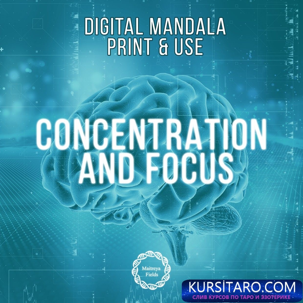 0lnsbjrz65-jpeg.8721