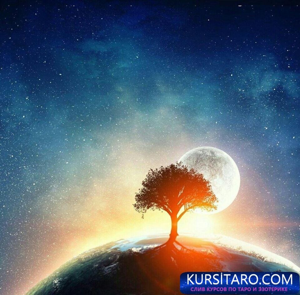 196534cd8712-jpg.18025