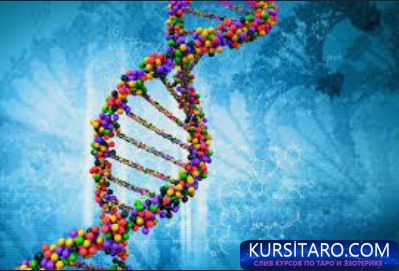 2022-08-20-154142-png.56