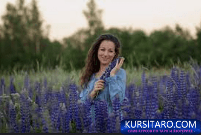 2022-08-25-163857-png.9528