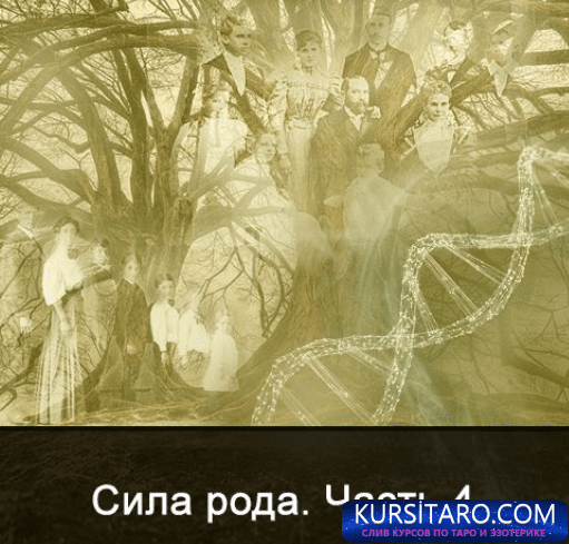 2024-02-15-14-04-44-png.2154