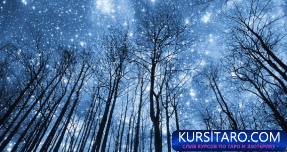 2025-06-26-234705636-png.29876