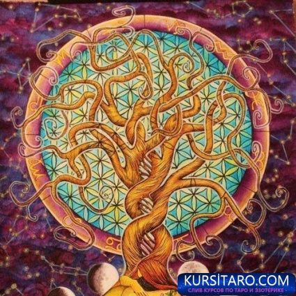 202d253d82c17b1bfecaca1306cd095a-jpg.15741