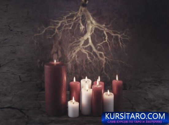 22-11-2022-162901-jpg.8678