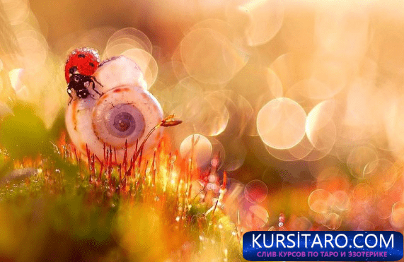 2646c5a47cb1-png.14872