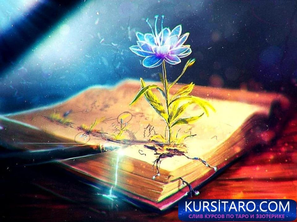 280ad38e1fa7-jpg.4812