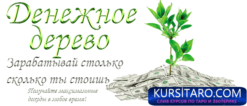 2d2eebcd340b-png.16579