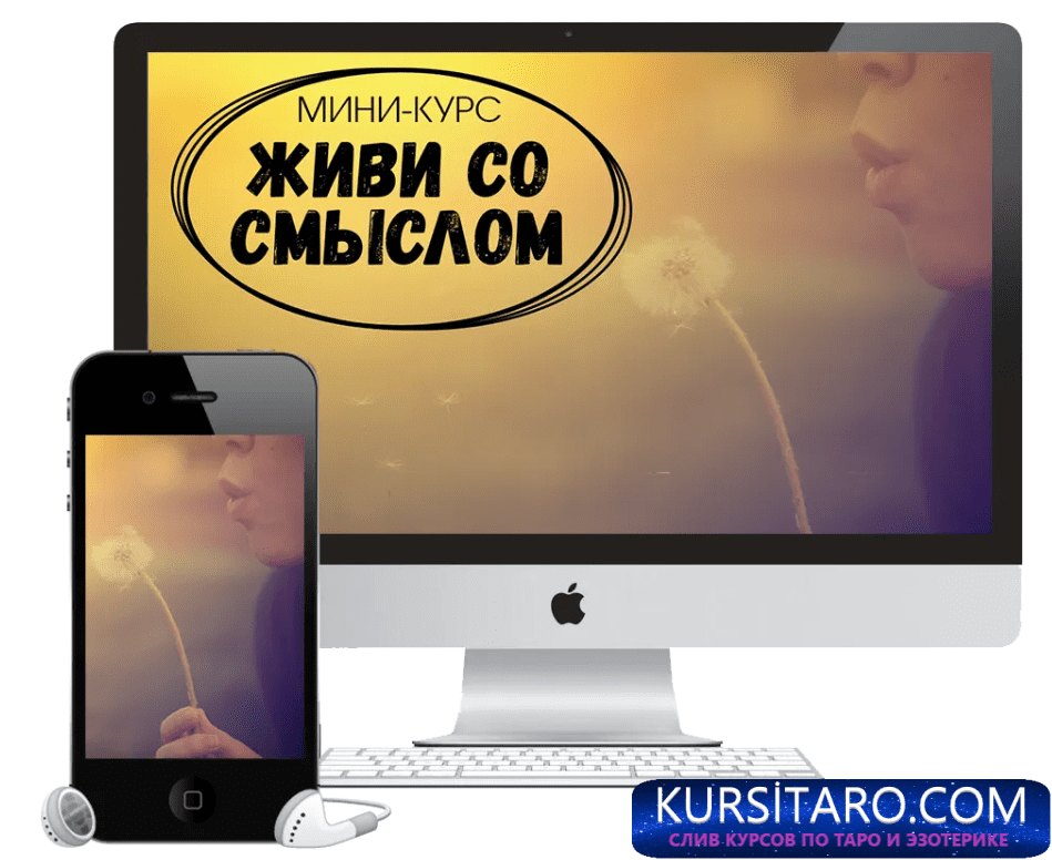 34013bad6f45-png.19396