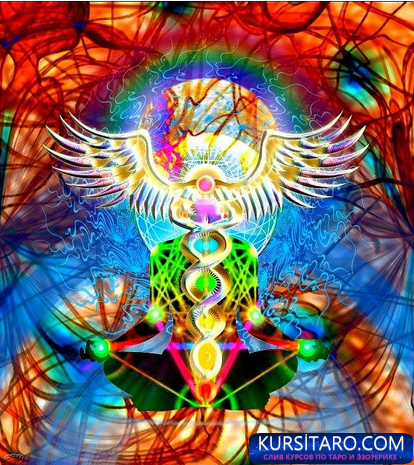 3c34427f2c5c-png.14287