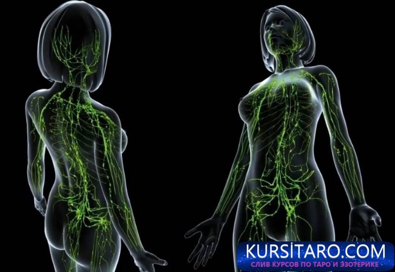 486068d192b1-jpg.13957