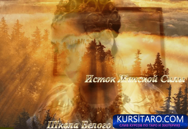 543386859a97-png.15503