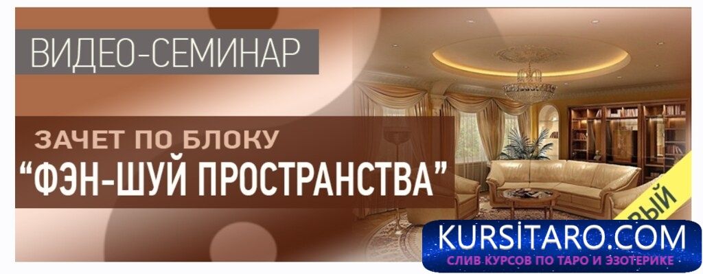 54550359417_aa373d2f03_b-jpg.29377