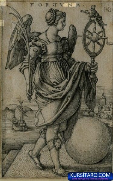 54568820528_201afc97bd_z-jpg.29361