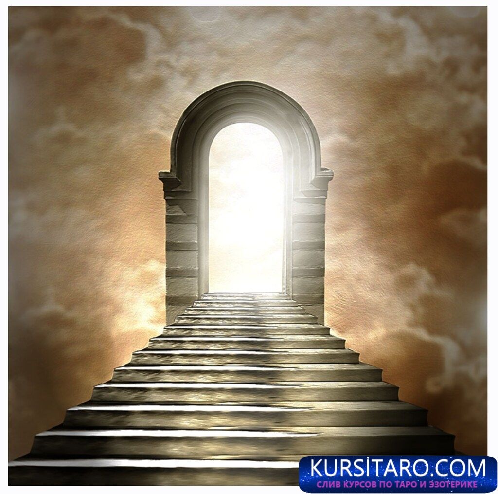 54581892559_4b616f50a0_b-jpg.29352