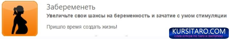 54640163112_3a6ba851b7_c-jpg.29709