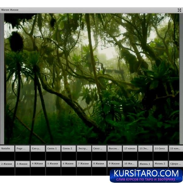 6405-5990-thickbox-jpg.10334