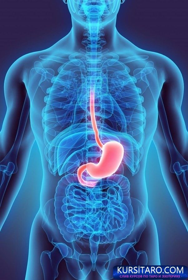 74fb597a625f-jpg.13968