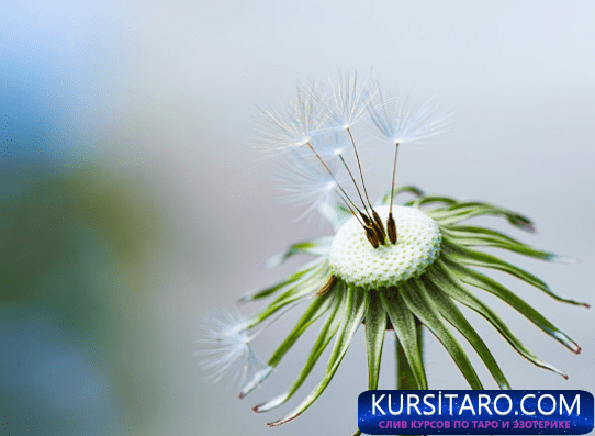 8064364aa63e-png.8539