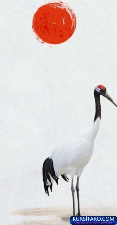 8301d941dc81-jpg.10956