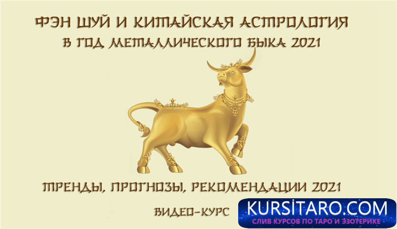 87e16cea210b-png.16837