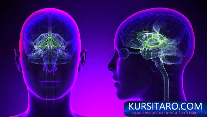 90df4e2e83f4-png.13196