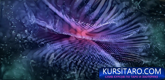 963522fd9389-png.20349