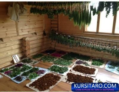 _996fcd3fdef4d5d77b073378222a5feb-jpeg.7379