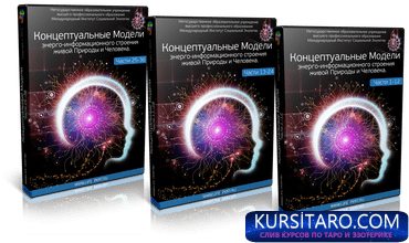 a724e95e0b94-png.20026