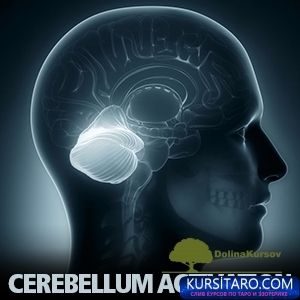 aktivacija-jpg.25289