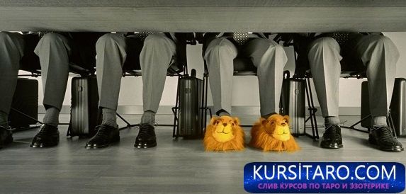 b88d7e509143-jpg.20371