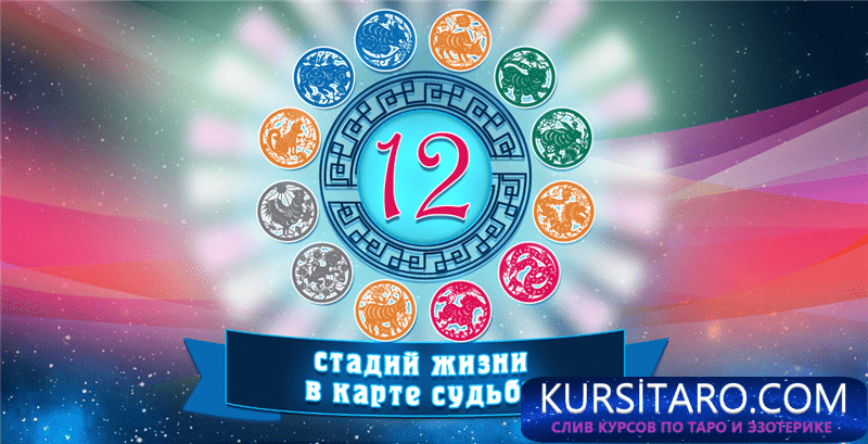 be4d5298262f-png.19062