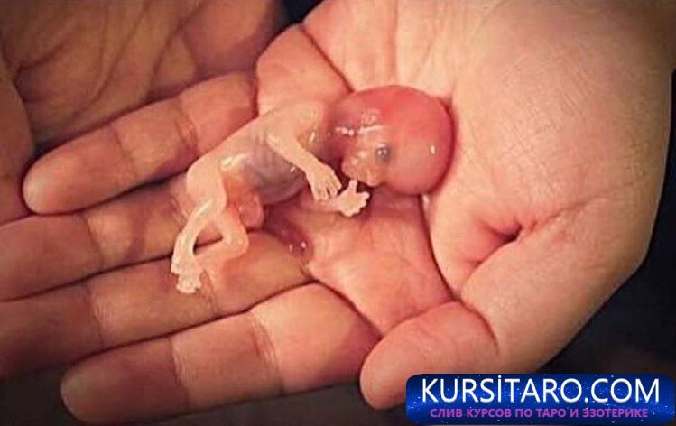 cylvitoxcaeq1ji-jpg.4565