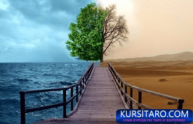 d00eaf644ab8-png.19060