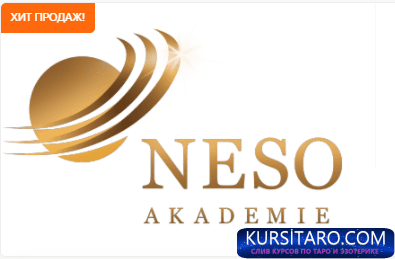 dc3254a813da-png.17483