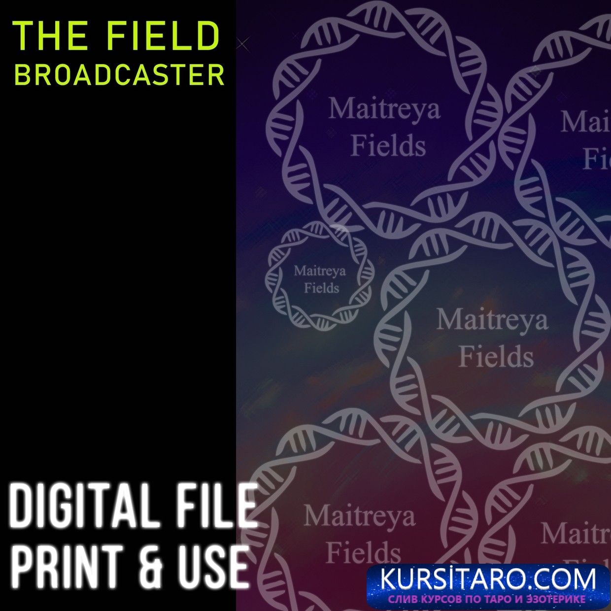 dxrqmgq6ou-jpeg.13120