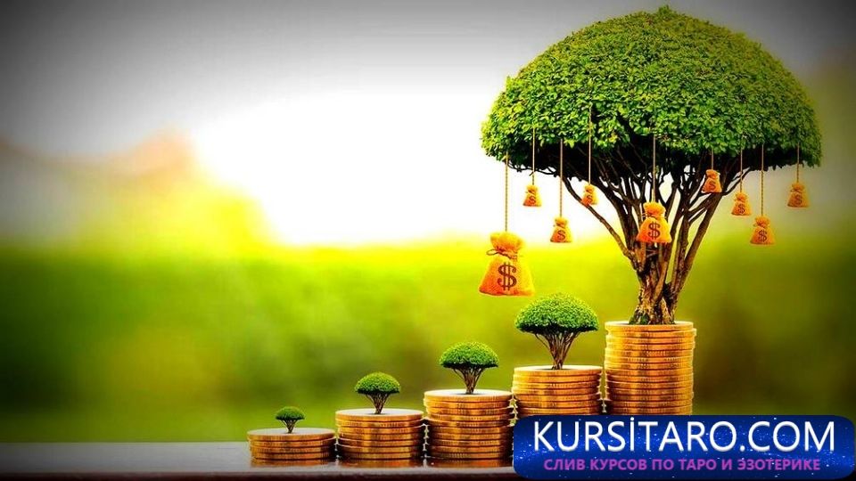 e4099efea584-jpg.13673