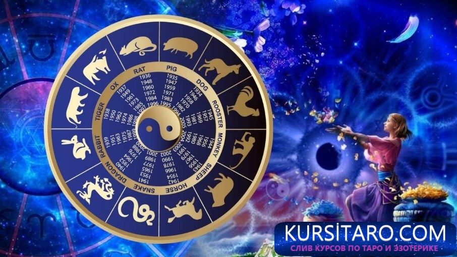 e70abae98d3f3ece61ff99dbfdd02e6b-jpg.4496