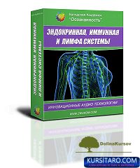 ehndokrinnaja-png.24797