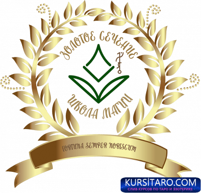 elvdam-g1661963050-png.9558