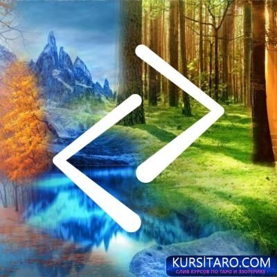 elvdam_g1644227985-jpg.11333