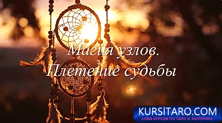 f7f9d7c94819-png.4893