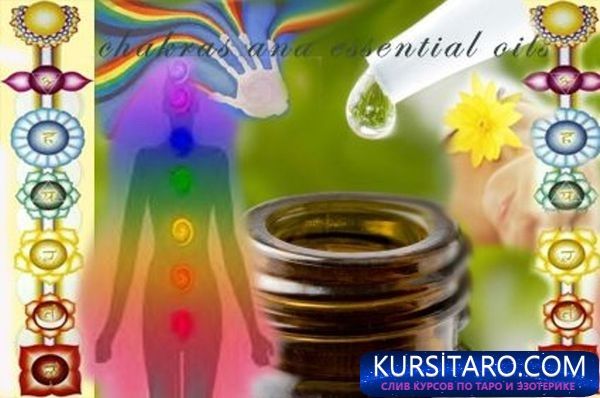 fd3ec0ec2742-jpg.11760