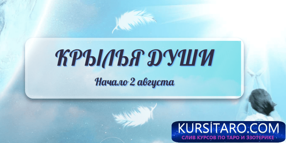 im-p1455343-0-png.6101