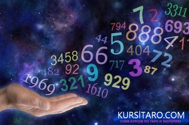 image1539152-jpg.818