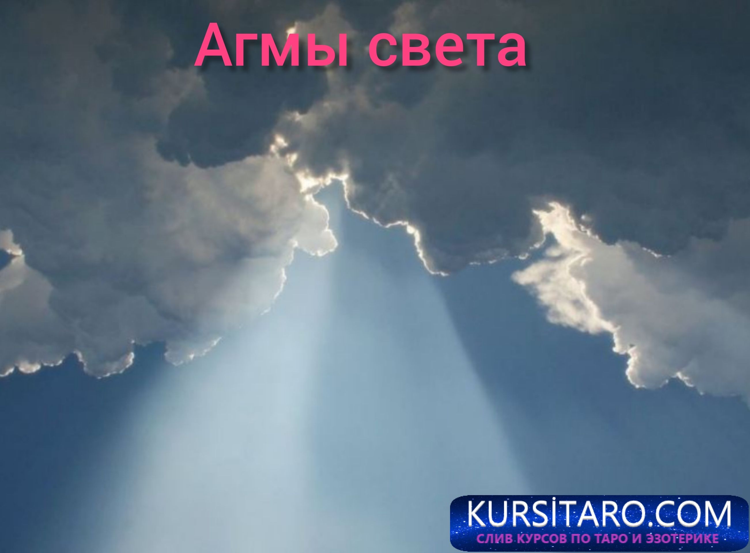 in-shot-20210813-182121200-jpg.13339