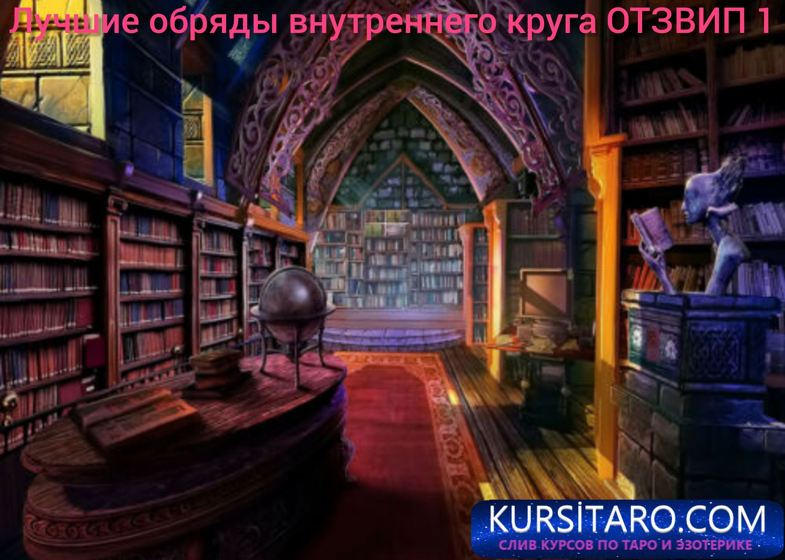 in-shot-20220527-105244346-jpg.10314