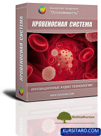 krovenosnaja-png.24795