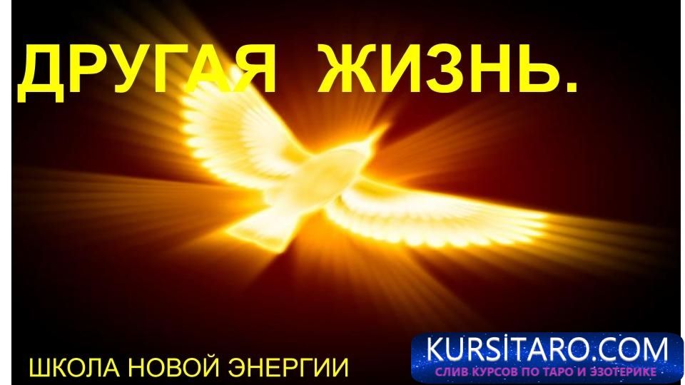 l0yogadnz4e-jpg.16070