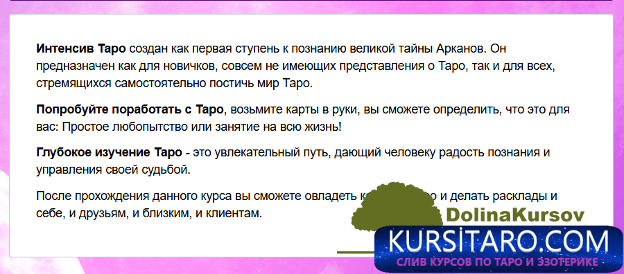 nesoakademija-png.26980